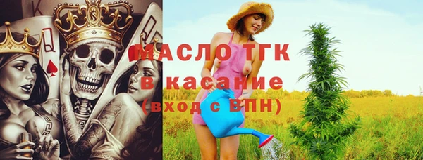 молекула духа Киреевск