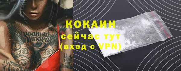 крисы Козловка
