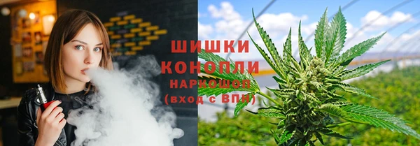 индика Карталы