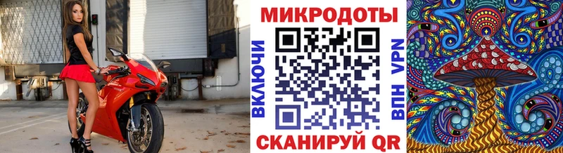 Галлюциногенные грибы Psilocybine cubensis Киржач